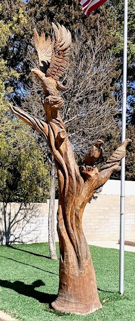 Pueblo Alto Eagle