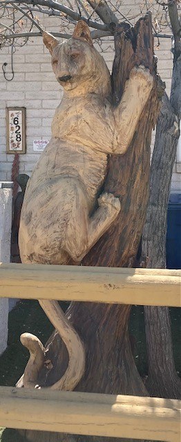 Pueblo Alto Mountain Lion