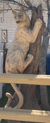 A wooden tree trunk sculpture carving of a mountain lion.