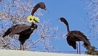 A sculpture of two geese facing each other