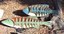 Ridgecrest Fish