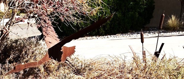 Sandia Ridge Duck