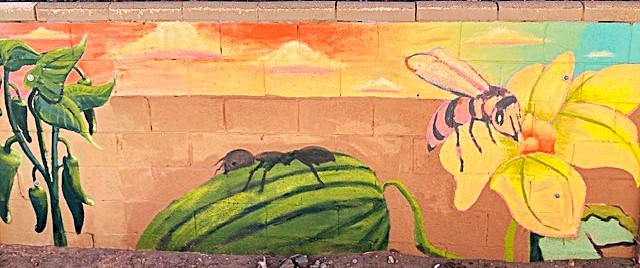 Spruce Park Ant Wall