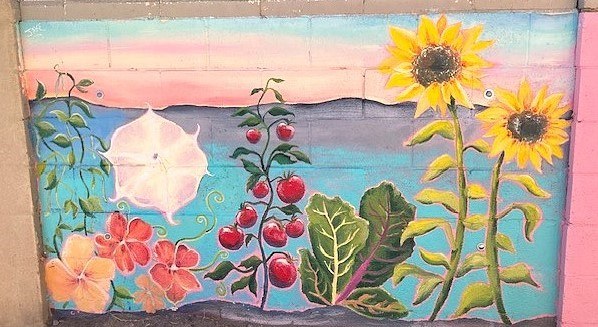 Spruce Park Sunflower