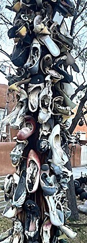 A telephone poll covered in shoes.