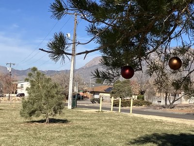 Neighborhood Walk - Brentwood Hills