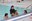 World's Largest Swimming Lesson