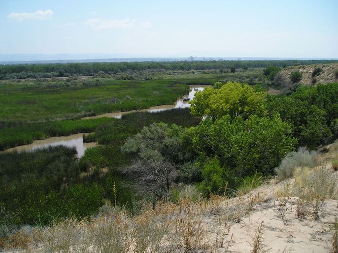 San Antonio Oxbow