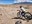 Mountain Biking Youth