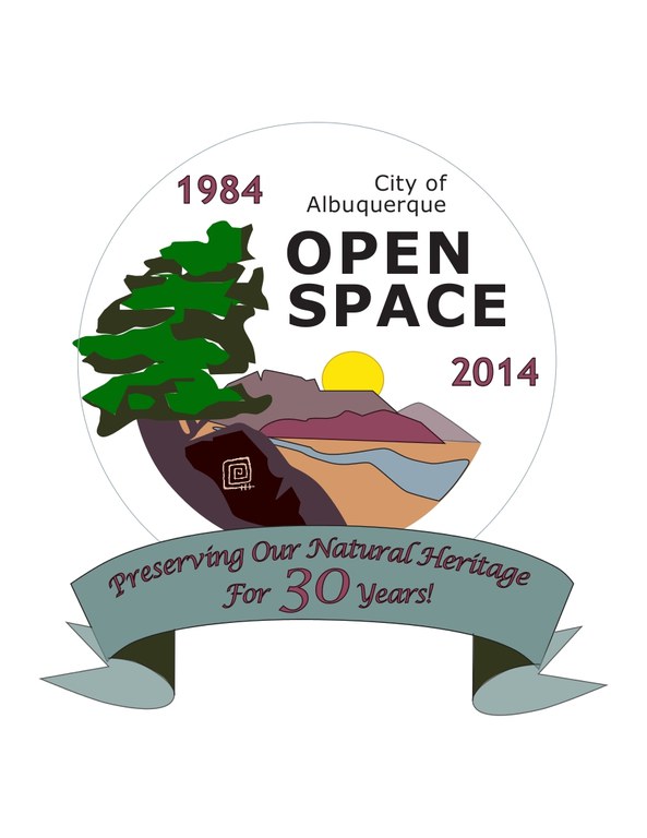 Open Space Anniversary Logo