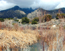 Elena Gallegos Picnic Area