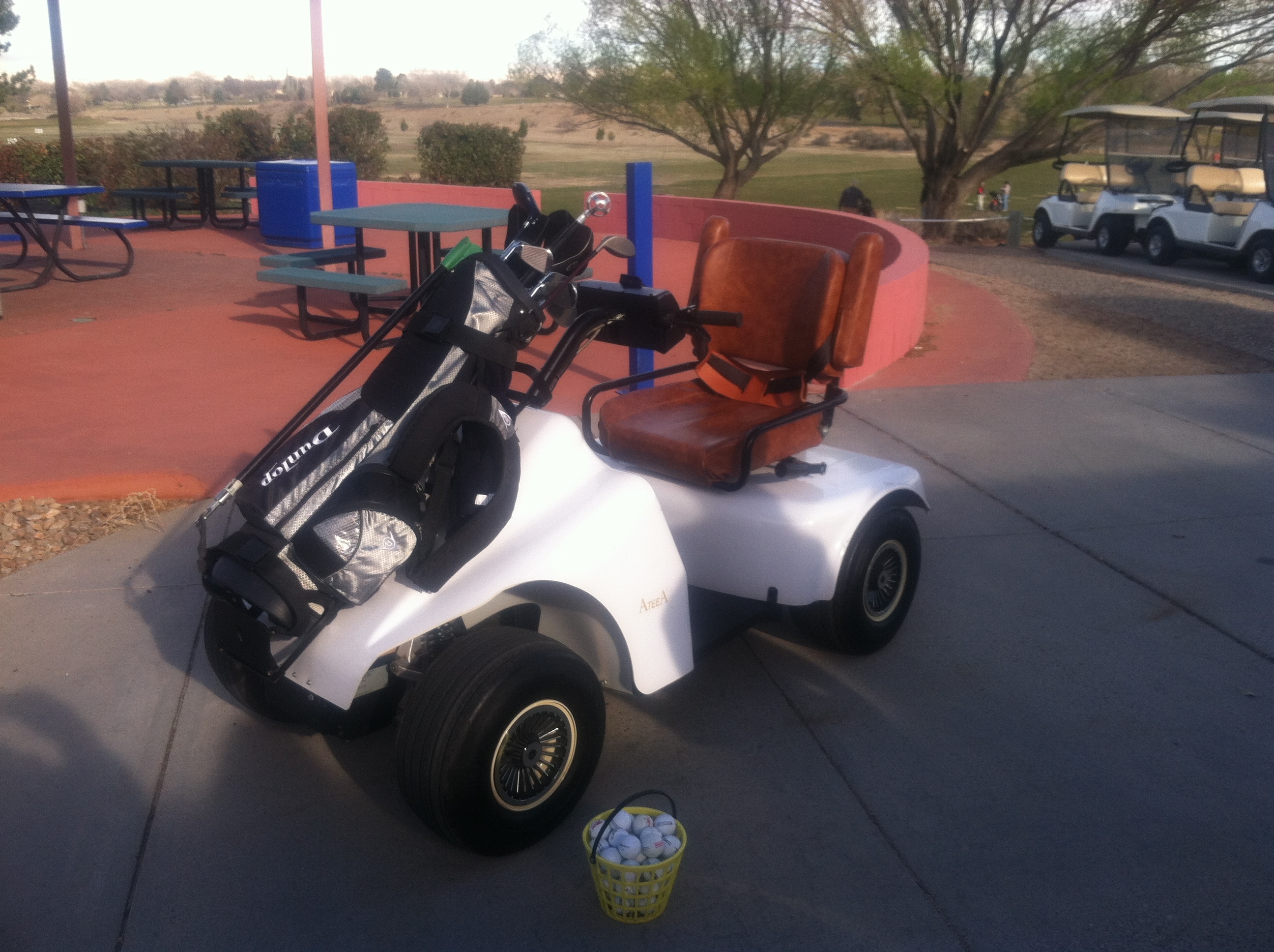 Golf Mobility Cart