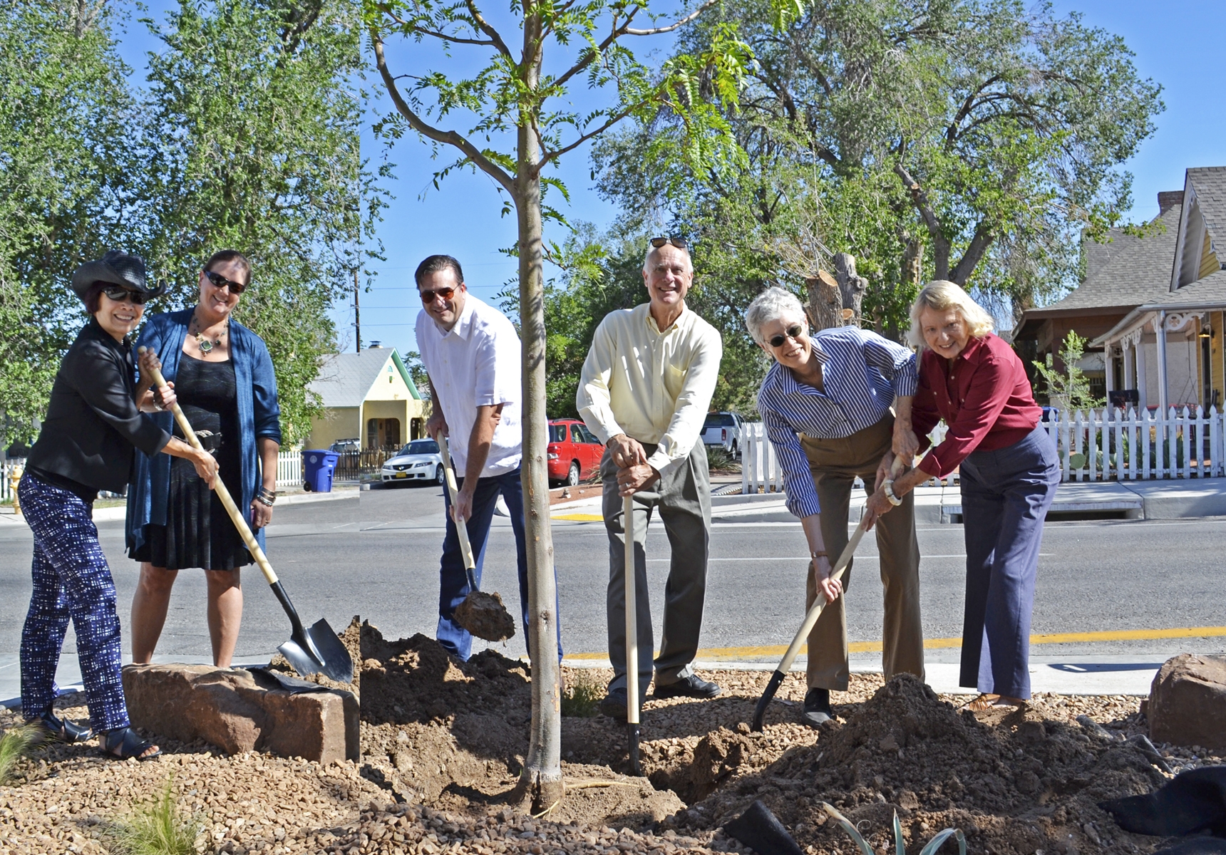 Lead and Coal Tree Planting