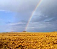 Petroglyph rainbow