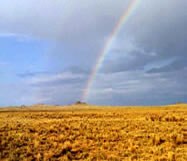 Rainbow over the petroglyph
