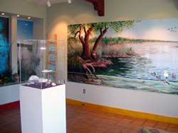 Open Space Visitor Center Gallery 1