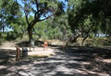 Paseo Del Bosque Trail Alameda