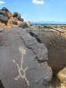 Petroglyph National Monument