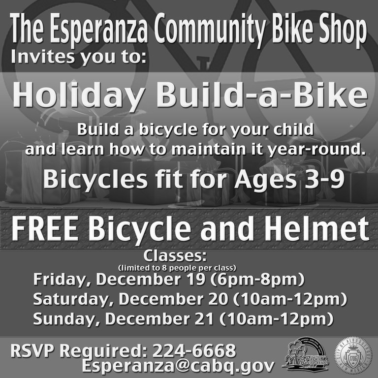 Flyer Holiday Build a Bike