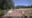 2025 CNP wildlife cam egret