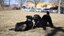 Dog Parks Section Block