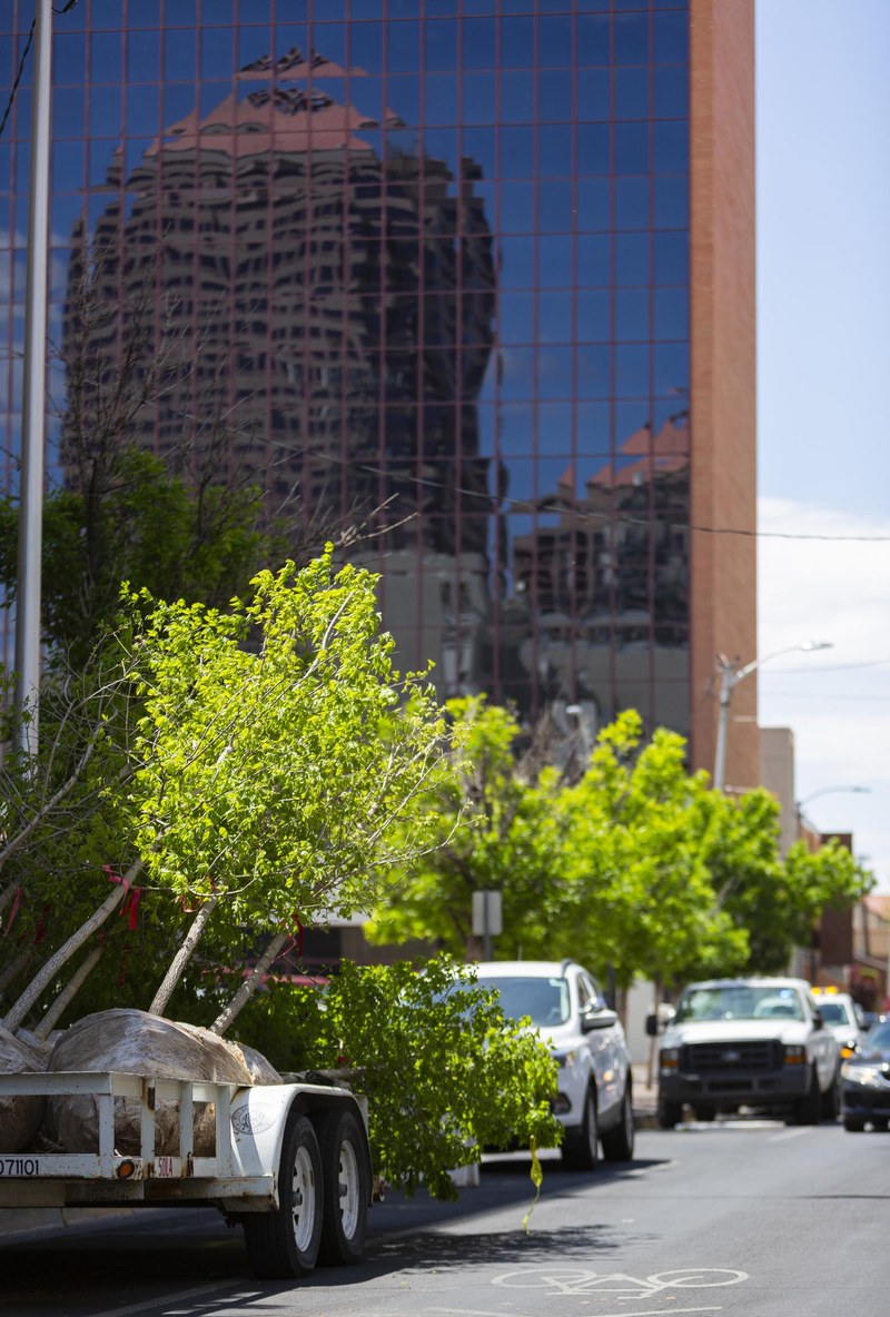Urban Forrest Downtown