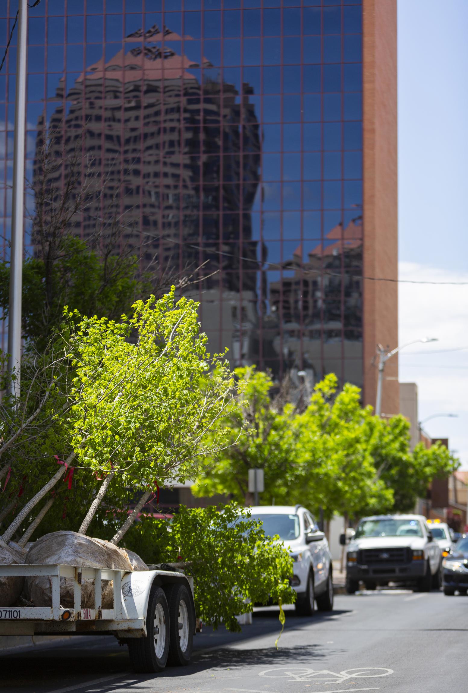 Urban Forrest Downtown