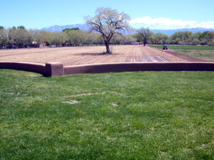 Open Space Visitor Center Fields