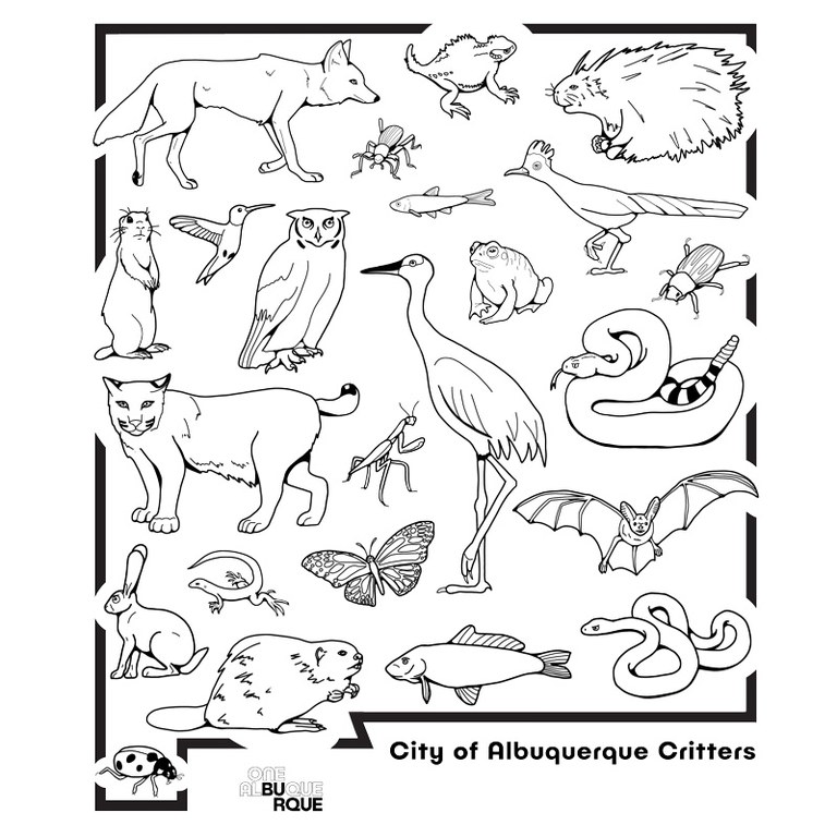 An illustration of an outline of the state of New Mexico and within it illustrations of animals found in New Mexico: Beaver, Bobcat, Bull Snake, Carp, Coyote, Great Horned Owl, Gunnison's Prairie Dog, Jackrabbit, Lady Bug, Monarch Butterfly, New Mexico Whiptail Lizard, Pallid Bat, Pinacte Beetle, Porcupine, Praying Mantis, Roadrunner, Sandhill Crane, Short-horned Lizard, Silvery Minnow, Ten-lined June Beetle, Western Diamondback Rattlesnake, Woodhouse's Toad