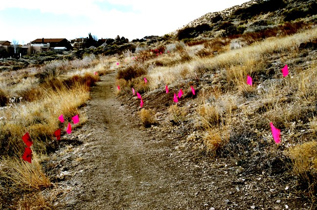 Dog Poop Markers