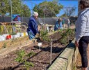 Greenhouse Volunteers Outside