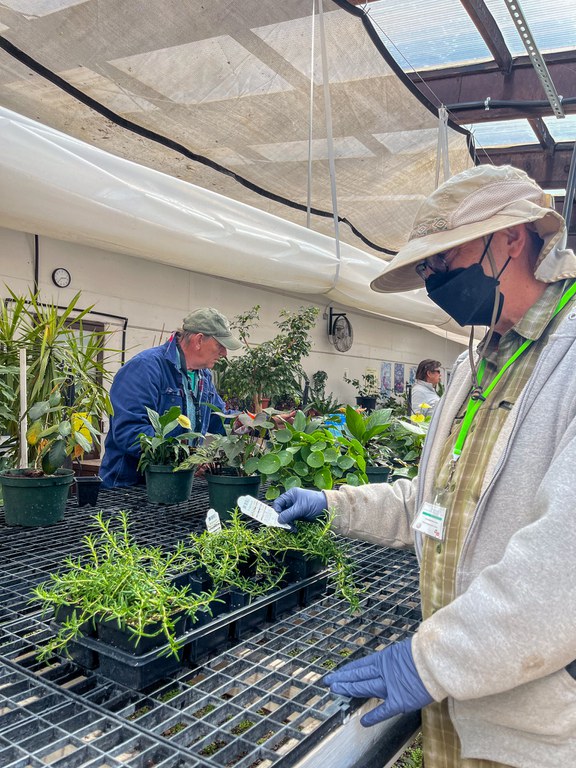 Greenhouse Volunteers