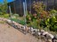 Pollinator Garden