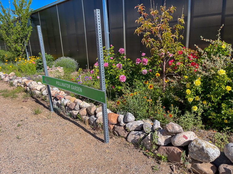 Pollinator Garden