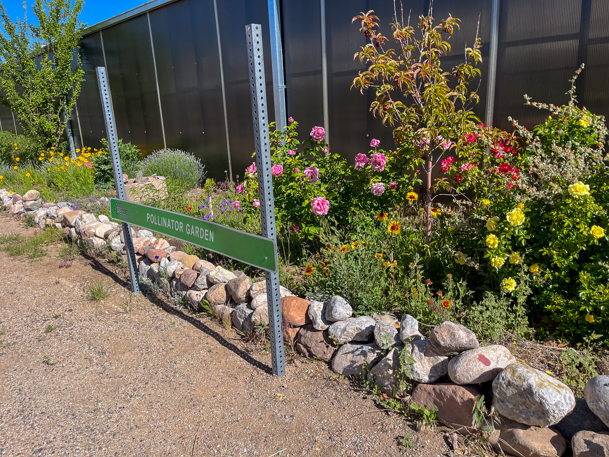 Pollinator Garden
