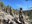 60 Hikes Tile