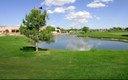 Ladera Golf Course Pond