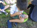 Open Space - School Programs Secton Block