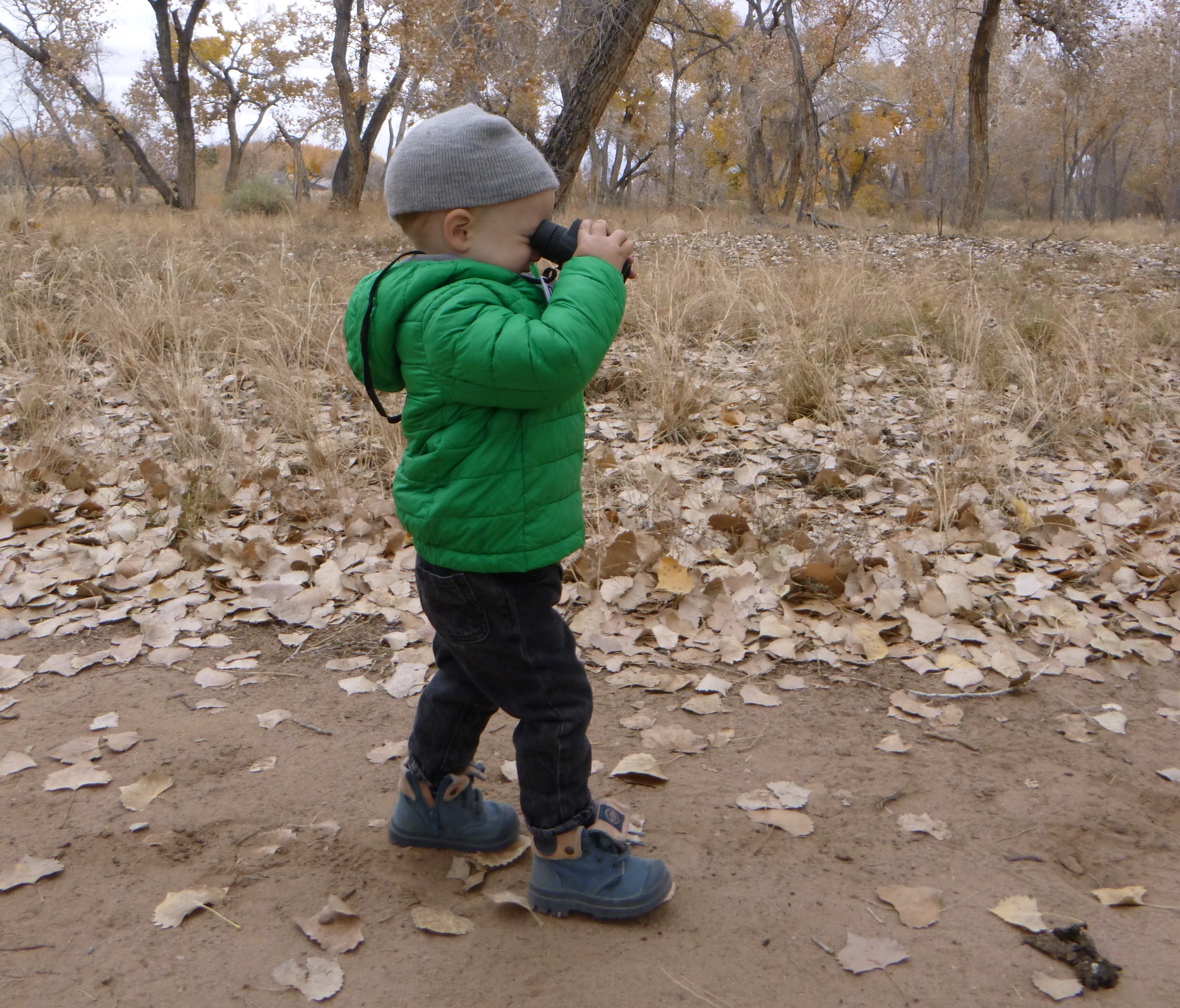 Image of a child walking on a Bosque trail wearing a green jacket, gray beanie, and holding binoculars over their eyes and looking into the distance. Leaves are dispersed on the ground and trees are on the background.