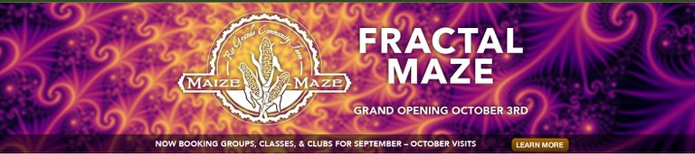 Flyer Maze Maize 2014