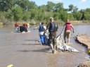 National River Cleanup1