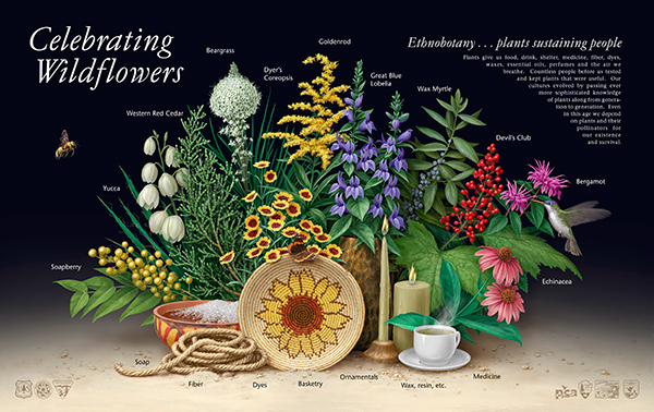 Ethnobotany