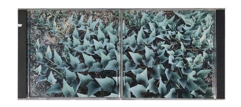 Jewel Cases
