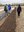 Walking the row ant Rio Grande Community Farm Micro-farmer fields