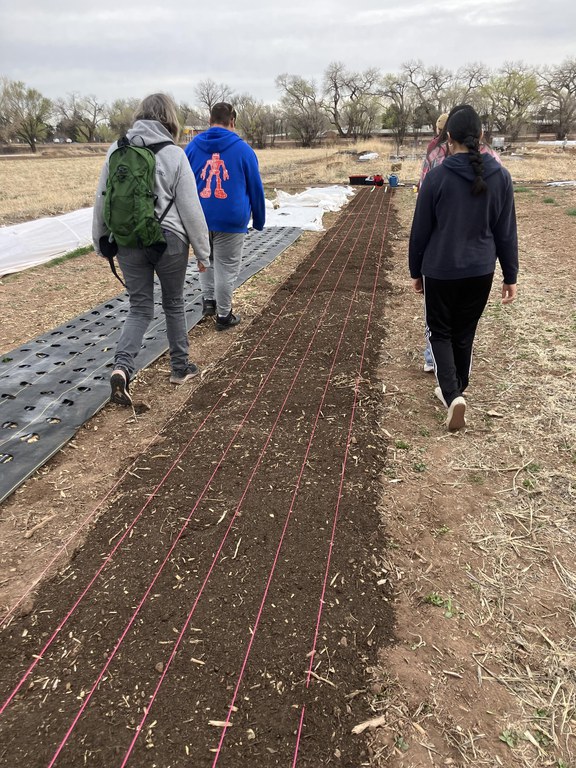Walking the row ant Rio Grande Community Farm Micro-farmer fields