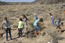 Trail Cleanup Tile 3