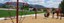 Park Playground with Kids