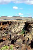 Volcanoe Petroglyph