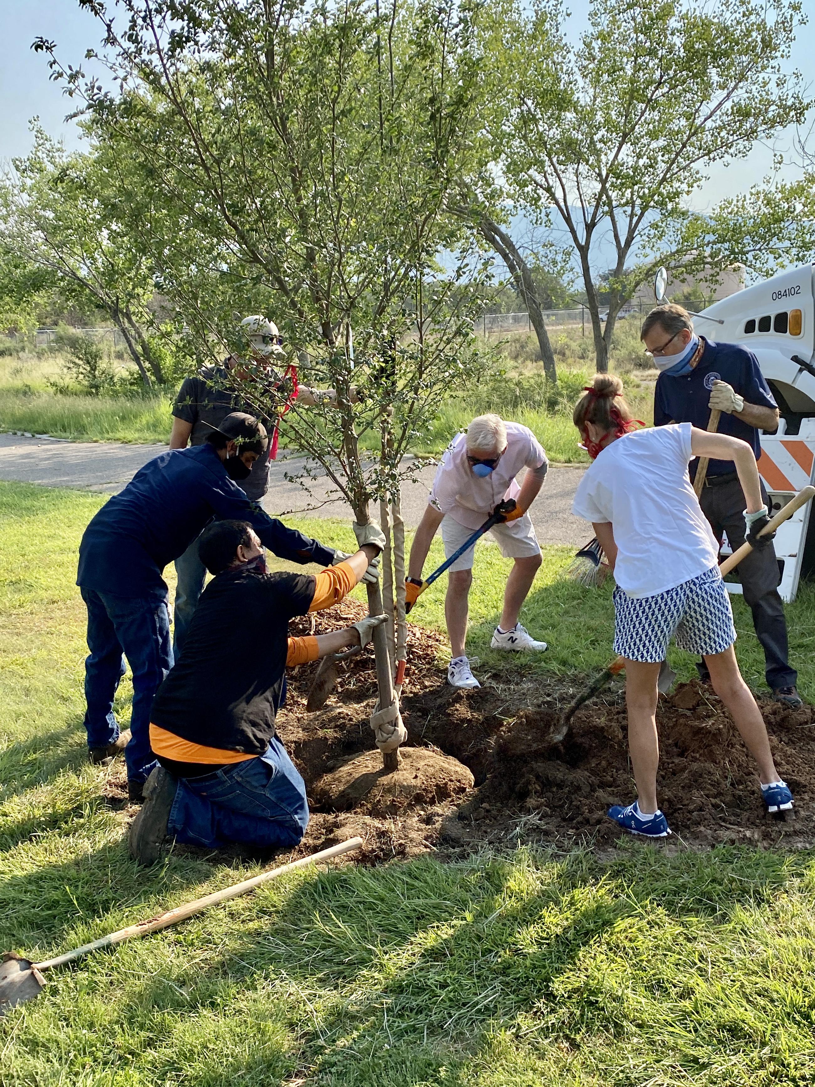 Dakota Tree Project at Phil Chacon Park 2