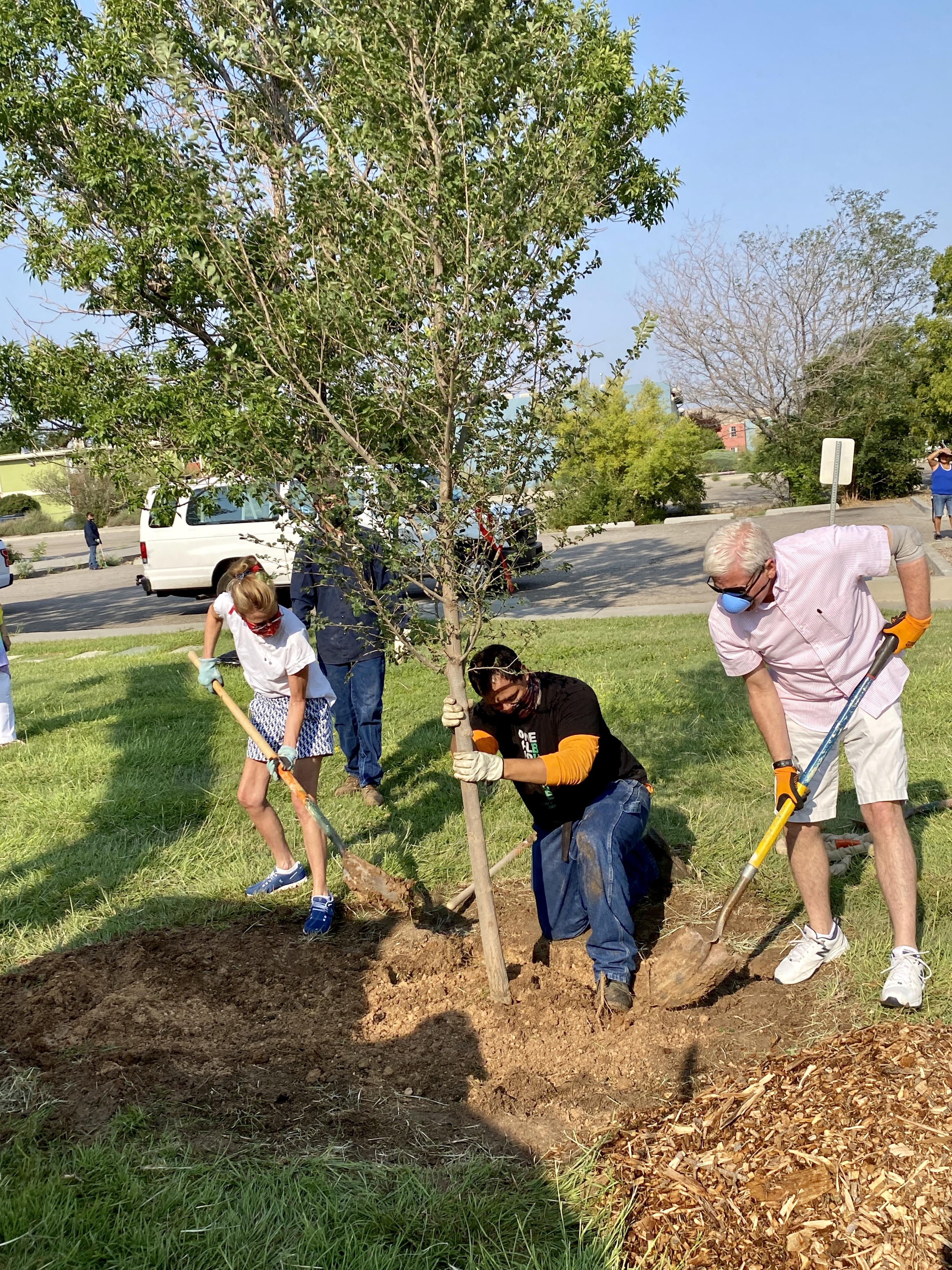 Dakota Tree Project at Phil Chacon Park 3